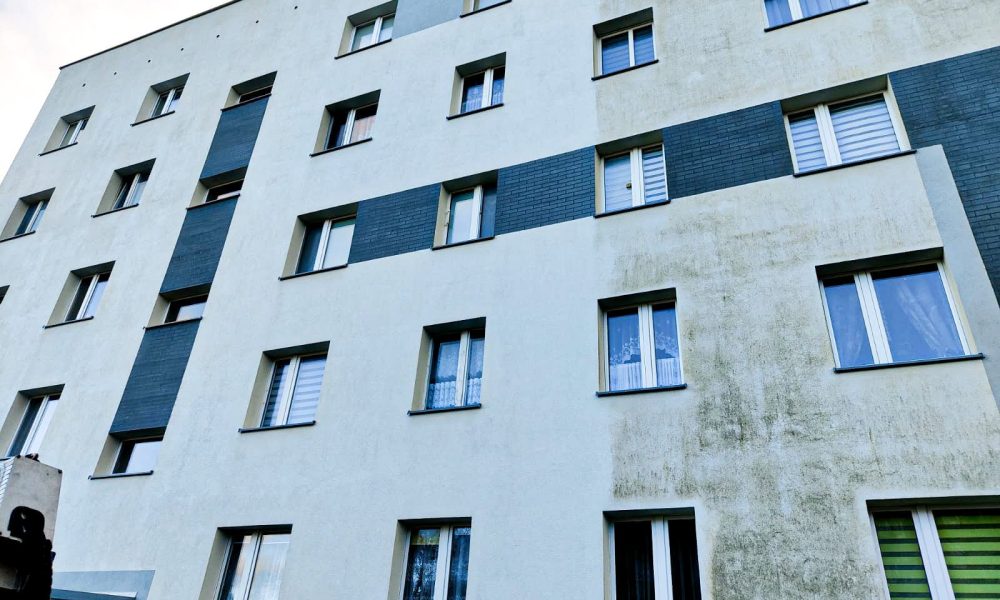 Czyszczenie elewacji - Gorzów Wielkopolski. Usługi alpinistyczne, firma alpinistyczna - Prace wysokościowe.